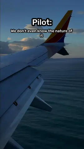 Engine Cowling SEPARATES In Southwest Flight 😱 #atc #atconversion #aviationfunny #aviationcomedy #aviationdaily #aviationtiktok #aviation4u #aviationtok #aviationfyp #aviationlovers #aviationlove #aviationlover #aviation #avgeek #lhrohin 