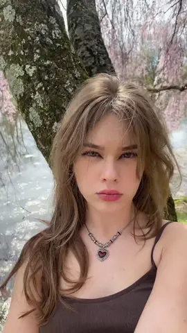 sitting in trees weather 🤩