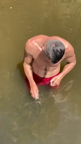 #valdemir  encantador de peixes gigante 