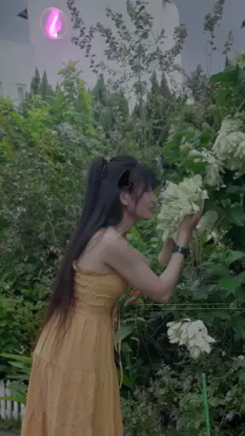 Chúc cả nhà tik tik buổi sáng nghe nhạc vui vẻ #xuonghuong #truongyyen92 #☘️1992☘️ 