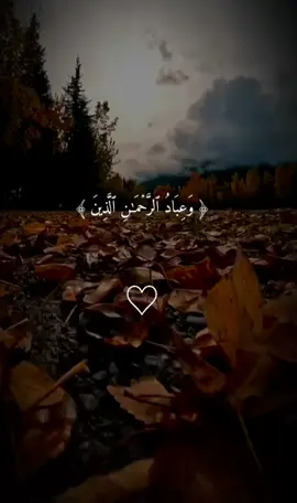 وعباد الرحمن الذين يمشون على الأرض هونا 🥹🤲 #تلاوة_خاشعة #قران #ماهرالمعيقلي #القران_الكريم #quran #ارح_سمعك_بالقران #قران_كريم_ارح_سمعك_وقلبك #foryou #قران_كريم #اكسبلور 