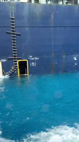 Its all about timing on this pilot boarding ⬜️🟥 #pilotboat #harborpilot #maritime #ocean #swell #offshore #cargoship #explore #fyp #vessel #miamipilotboat #sea #mariner #seafarer 