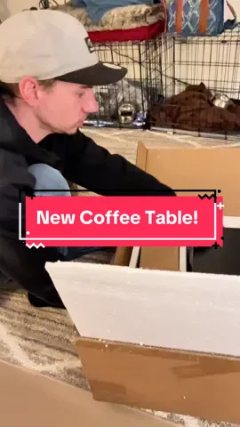 #budgetfriendly #decorinspo #homeinspiration #furniturediy #coffeetabledecor #livingroomdecor #functionaldecor #homedesign #interiorinspo #cozyhome #affordablefurniture #coffeetable #lifttop #interiordesign #homedecor #budgetdecor #furnituredesign #furniturefinds #tiktokdecor #smallspaceliving 