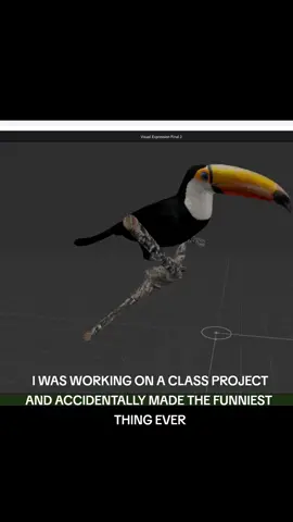 wide can #memestiktok #funny #meme #bird #toucan #3dmodel  #3dmodelling #ar 