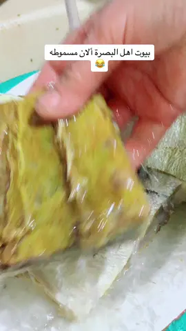 # مسموطه على طريقه_ام زوجي#البصره_العراق #عيد_الفطر_المبارك #حرة #حركه_الاكسبلور🖤🔥 #بغداد_بصرة_موصل_الكويت_الخليج_دبي_ #العرتق_السعوديه_قطر_الامارات_الكويت_مصر #ذيقار_ميسان_بغداد_بصرة_كربلاء_النجف 