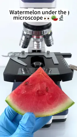 Would you still eat watermelon if it were magnified 400 times under a microscope?#microscope 