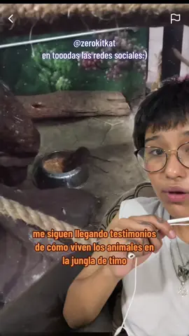 Más testimonios del maltrato que viven los animales en la jungla de Timo.#zerokitkat #maltratoanimalstop  #lajungladetimo #noalmaltratoanimal #monos #changos #animales #activismo #exponiendo #funa #testimonio #abuso #abusolaboral #maltratolaboral #denunciapublica #monterrey #mty #monterreynuevoleon #activismoanimal #activismotiktok #activista #critica #opinion #ayuda #testimoniosreales 