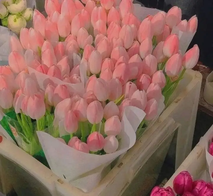 ảnh hoa xinh để làm avatar 🌷