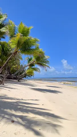 Ambil saja vidionya buat prank tmn lagi dipantai #storywa #storyigviral #storywakeren #fypシ #fypシ゚viral 
