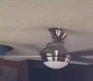 Nice fan. #snake #fan #reptile #Love 