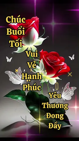 #ChúcBuổiTốiVuiVẻ💚💖 