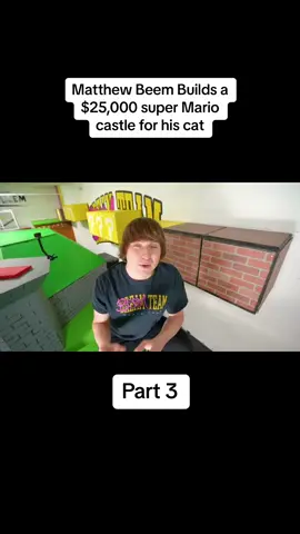 Matthew Beem Builds a $25,000 super Mario castle for his cat Part 3 #foryou #fyp #youtube #matthewbeem #viral #explore #funny #fypシ 