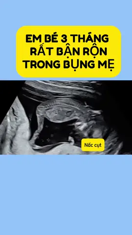 #xuhướng bé 3 tháng làm gì trong bụng mẹ #xuhướng #mevabe #thaophuong #thaikykhoemanh #mangthai 