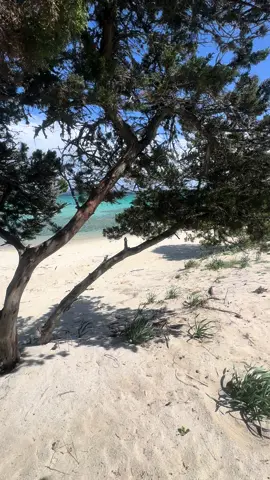 I colori di Spiaggi Ira, Porto Rotondo #Olbia #instasardegna #sea 