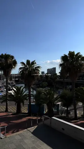 #drake #foryoupage #fyp #foryou #drakesong #drakelyrics #drakeclassics #aesthetic #drakequotes 