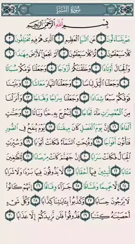 Alquran Kareem  Suuratul Naba(Camma) Sheikh Hassan Idris 