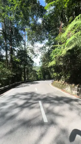 Pogum Paadhai Dhooramae Vaazhum Kaalam Konjama🫠❤️‍🩹 #tamillyrics #sangeethamegam #fyp #fypシ #tamilsong #vinntransportservice #lyrics #cameronhighland #tapah 