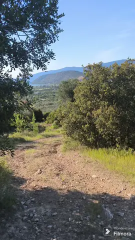 @Dimitris Savvidis Σε ευχαριστούμε πολύ για τα δώρα ♥️♥️♥️♥️