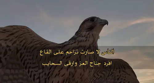 #يزن #مهيب #اللهم_صل_وسلم_على_نبينا_محمد #محمود_الجبلي #شعر #قصيد #ابيات #قصايد #ما #اكس #foryoupage #viral #foryour #explore #fypシ゚viral #fypシ 