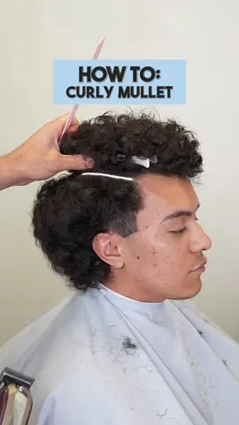Here’s an easy way to do a modern mullet with a low taper on curly hair! Be sure to follow me for more content! 🤙🏽 𝐒𝐨𝐮𝐭𝐡 𝐅𝐥𝐨𝐫𝐢𝐝𝐚 🌴 For the best barber services, 𝘤𝘭𝘪𝘤𝘬 𝘵𝘩𝘦 𝘭𝘪𝘯𝘬 𝘪𝘯 𝘮𝘺 𝘣𝘪𝘰!⁣⁣ ⁣⁣ Miami | Fort Lauderdale | Boca Raton #miamibarber #browardbarber#southfloridabarber #fortlauderdalebarber #palmbeachbarber #bocabarber #westonbarber #sunrisebarber #daviebarber  #pembrokepinesbarber #miramarbarber #tuffthebarber #asianbarbers #barbertips #barbertutorial #barberstudent #barberinstructor #barberschool #barbercollege #barbereducation #menshairtutorial #howtocuthair #mensgroomingtips 
