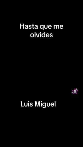 Karaoke hasta que me olvides luis miguel 1 tono bajo del original