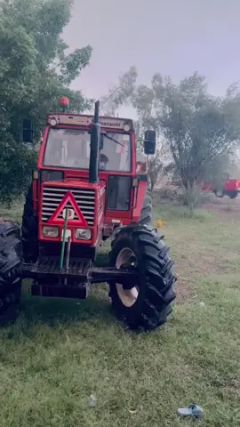 #واسط_الدجيلي_شاخه١٤ 