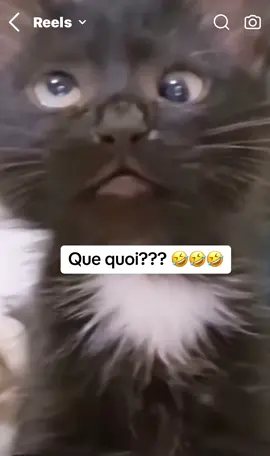 #rires😂 #cotedivoire🇨🇮225 #bamakomali🇲🇱 #drole #rire #ghanatiktok🇬🇭 