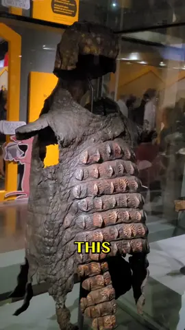 CROCODILE 🐊  COSTUME! what do you think it was used for? #romanempire #romanhistory #Egypt #crocodile 