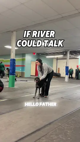 If River could talk #dogs #flyball 