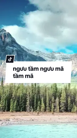 #baihoccuocsong #phattrienbanthan #truyencamhung #trichdanhay 