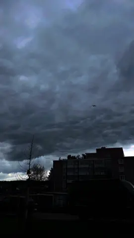 هي ازمة انتماء 😔💔 .. … ….. #viral #بدون_موسيقى #fypシ #tulip19_ #تصويري #fypシ゚viral #تصميمي #الشامي #مافي_انتمي_للويل @Al shami - الشامي 