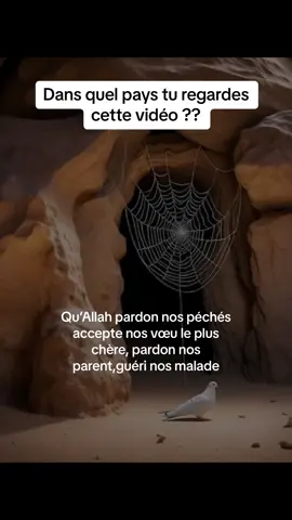 Surate Al-Jumu'ah 62:complet #quran #vendredi #abdullah #matrood #foryou #ramadankareem #pourtoi #ramadankareem #pourtoi #flypシ #france🇫🇷 #germany🇩🇪 #ouagadougou🇧🇫🇧🇫 #germany🇩🇪 #islam #allahuakbar #maka #toutlemonde #vissibilitesurtiktok @Abdullah matrood @Parole_d'Allah @Livre d’Allah @Quran_ القرآن✅  @parole d'Allah  @parole d'Allah  @parole d'Allah 