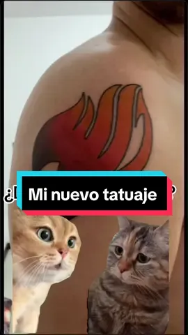 #CapCut #anime #manga #fyp #foryoupage #viral #MemeCut #meme #fypシ #fairytail #fairytail100yearquest #natsudragneel #lucyheartfilia 