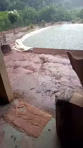 amo minha Roçinha 