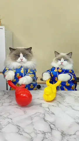 🍣🦆 Sushi fest turned quacky! Puff’s throwing a duck sushi party. Are you in? #SushiFest #DuckSushiParty #ThatLittlePuff