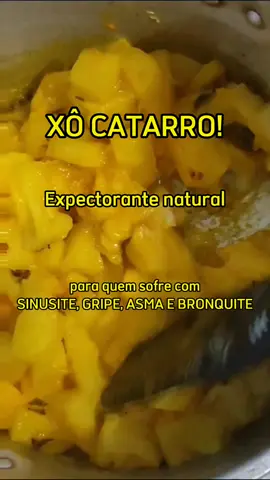 Me segue para me ajudar! 🙏🫱🏼‍🫲🏻 Receita 1/2 abacaxi 10 folhas de hortelã Suco de meio limão 1/2 laranja descascada e picada 1 colherzinha de açafrão 200ml de mel puro ⚠️ Crianças menores de 1 ano não podem consumir mel ⚠️ #xaropecaseiro #espectorante #sinusite #bronquite #asma #gripe 