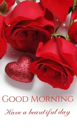 Good morning with roses 🌹#2024 #goodmorning #rose #tiktok #foryou #viral #fypシ 