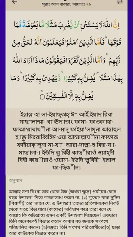 সূরা বাকারা আয়াত নাম্বার ২৬#আলহামদুলিল্লাহ❤️❤️❤️❤️❤️❤️ #dhaka #viral #tiktok 