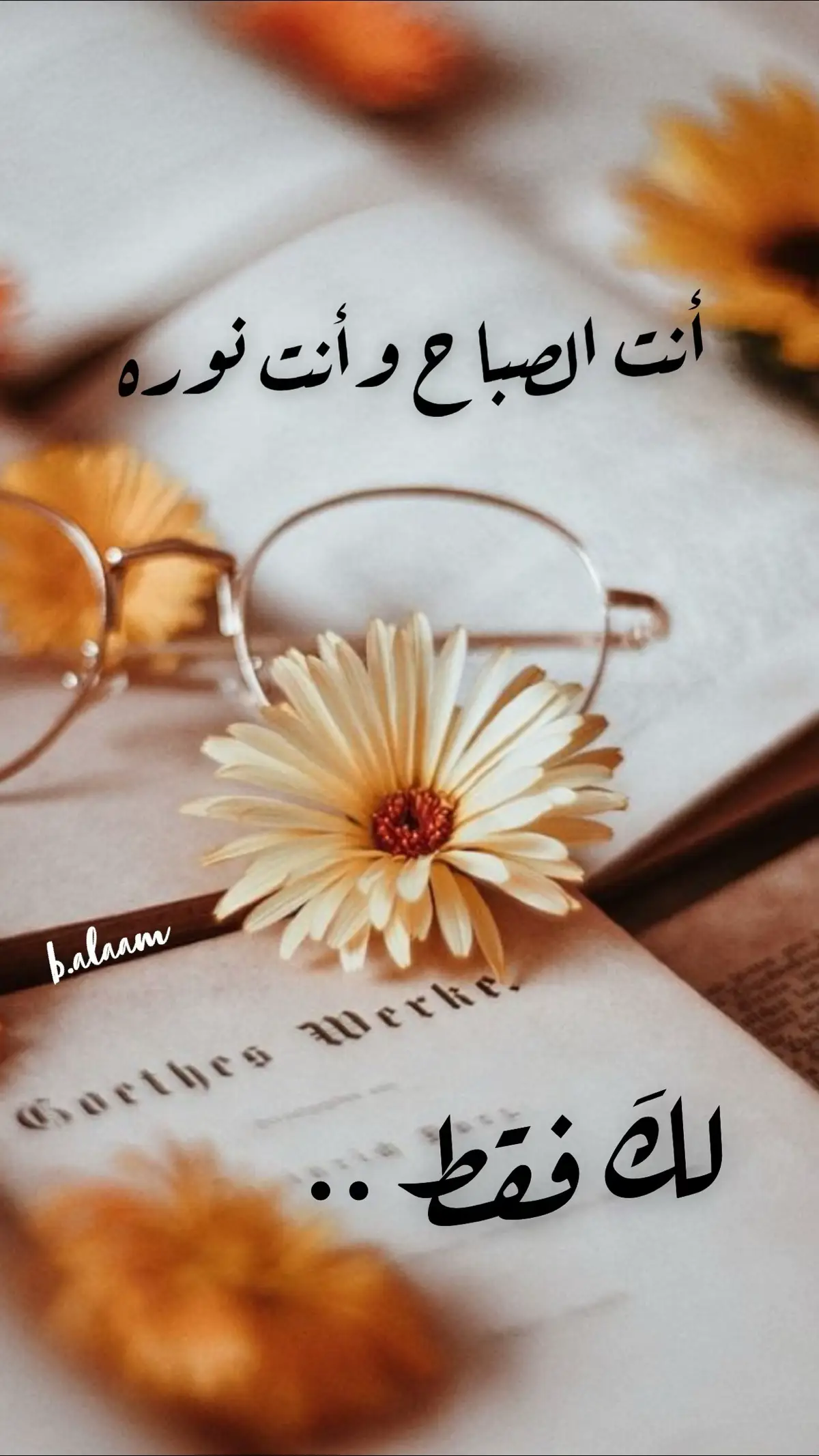 صباحكم خيرات 🌹🌹اشتقت لكم 🌹🌹#fypシ #شوق #صباح_الخير #الشعب_الصيني_ماله_حل #bahrain #حبيت #حب 