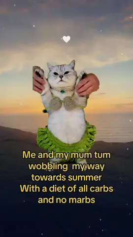 #summerbodyloading if you see me no judgement😂 #chunkybutfunky #imnotfatimfluffy #mumtum 