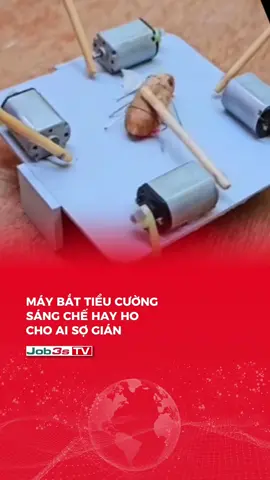 Máy bắt Tiểu cường sáng chế hay ho cho ai sợ gián #job3s #gian #tieucuong #sangtao #viral 