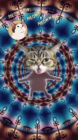 #Meowww😂 #ForYou 😇🥰😘🌹