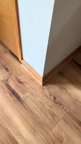 #renovafloors #remodel #milwaukee #dewalt #satisfying #transtion #laminate 