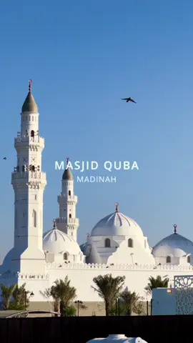 Masjid Quba, Madinah  #architecture #umrah #madina #qubamosque #quba 