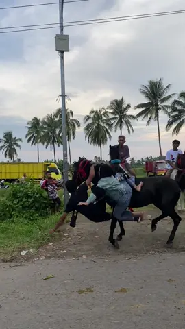 Mbanya pantang menyerah ygy,jatuh bangkit lagi naik lagi. Sehat selalu yaaa #tiyu2024  #pawaiberkuda  #tradisi 