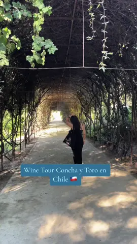 Necesito más recorridos asi cuando visite Chile 🥰 #draft #chile #santiago #wine #fyppppppppppppppppppppppp #fy #parati #travel 