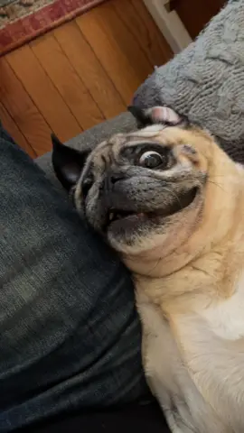 he’s come such a long way since day 1 😭❤️