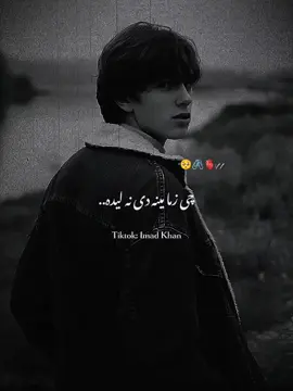 𝐂𝐡𝐞 𝐁𝐚𝐠𝐡𝐚𝐢𝐫 𝐋𝐚𝐭𝐚 𝐌𝐞 𝐒𝐚 𝐍𝐚 𝐋𝐢𝐝𝐚 🥺🫀 #CapCut #ImadKhan #Trending #Shayari #PleaseSupport #Sad #Pashto #Poetry #ForYou #ForYouPage #Fyp #Imad 