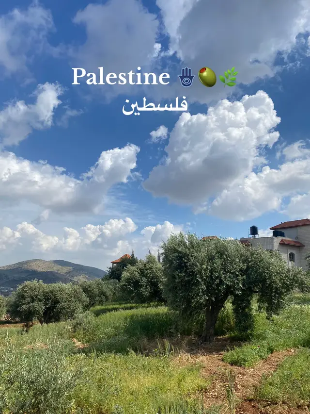 Without hope we are lost- Mahmoud darwish🌿🫒#palestine #2024 #فلسطين #bethlehem #nablus🇵🇸 #ramallah #mahmouddarwish 