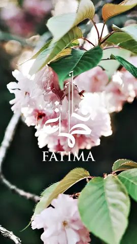 Step into a garden of femininity with Fatima by Zimaya Perfumes. Let the enchanting floral notes transport you to a world of timeless elegance and grace.. . #zimaya #zimayaperfumes #fragrances #fatima 